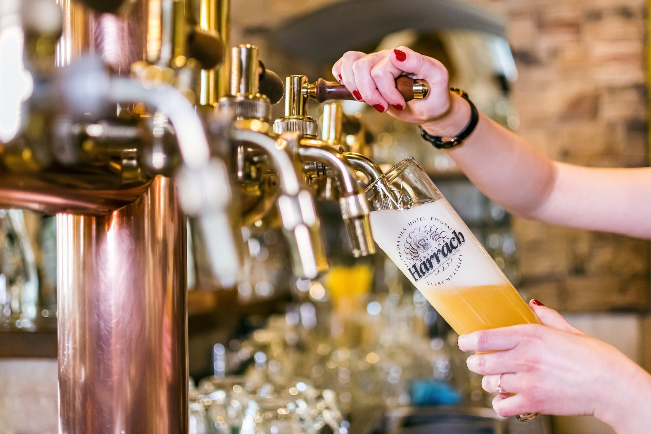 pivo-Harrach