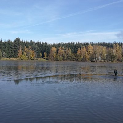 Nízká hladina rybníka během výlovu ryb